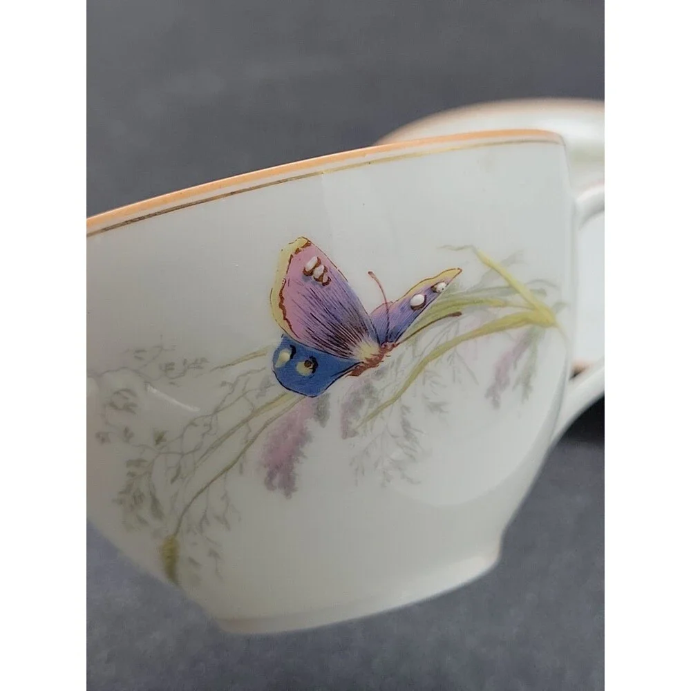 READ 2 ? Haviland Limoges ? Meadow Visitors Cup/Saucer Butterflies/Grasses